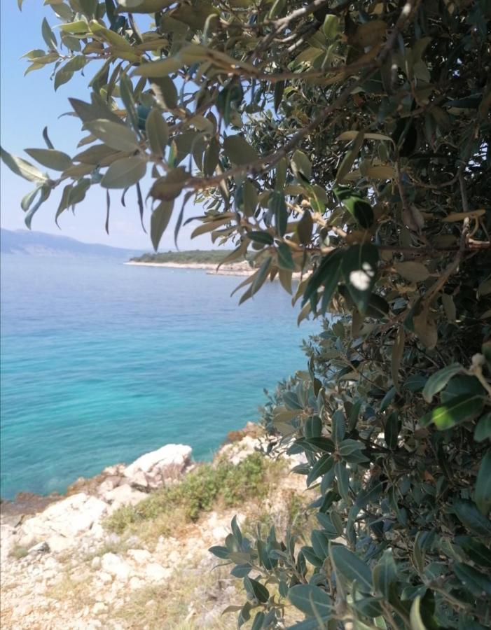 Apartments Vesna Pinezići المظهر الخارجي الصورة